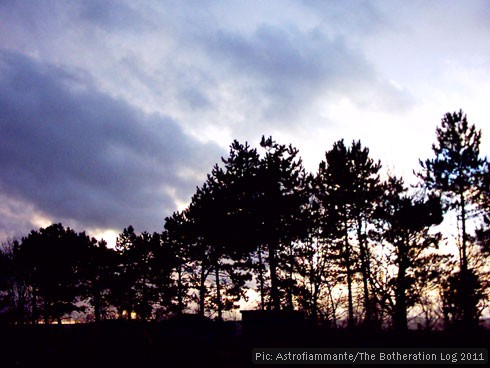 Twilight skyline with trees and clouds