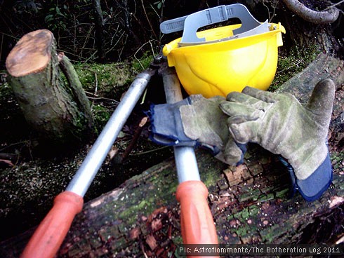 Hard hat, protective gloves and loppers on tree trunk