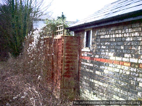 Brick building with trailing plant