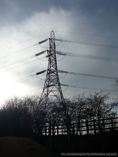 Electricity pylon visible above trees