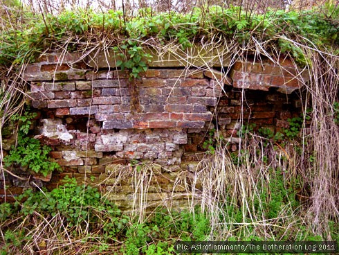 Crumbling brick wall overgrown with vegetation