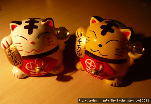 Two 'lucky cat' money boxes