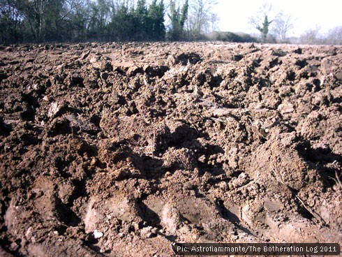 Ploughed field in spring