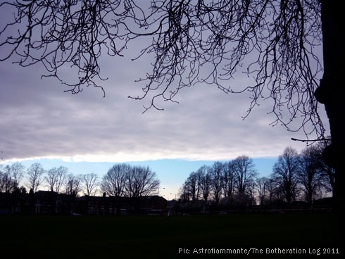 Cloud rolling back behind silhouetted trees to reveal blue skies