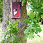 Orienteering (n): An activity that requires competitors to navigate round a point-to-point course in the fastest possible time.