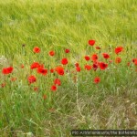 Impressionism (n): A French art movement from the late 19th century characterised by an emphasis on outdoor painting, everyday subjects and colour theory.