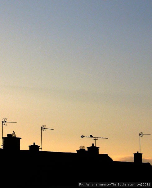 Bird on a TV aerial at dusk