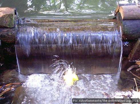 A rubber duck in the outflow of a pub's ornamental pond