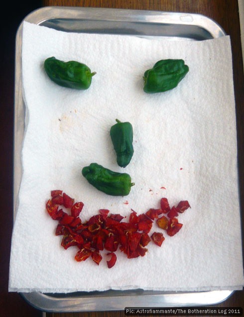 Peppers and rosehip pieces arranged to resemble a face Peppers and rosehip pieces arranged to resemble a face