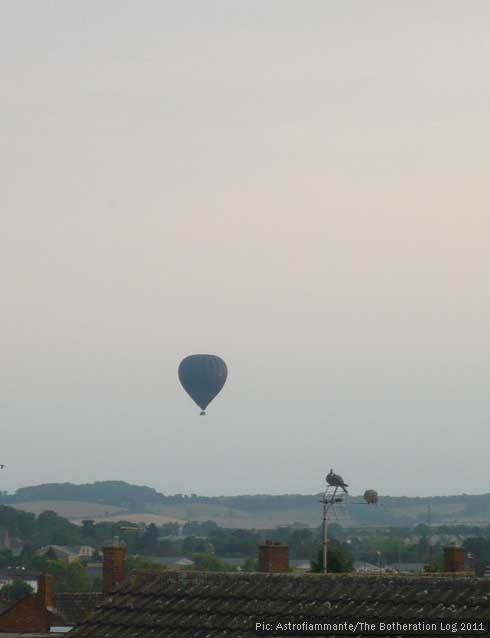 Hot air balloon watched by two pigeons