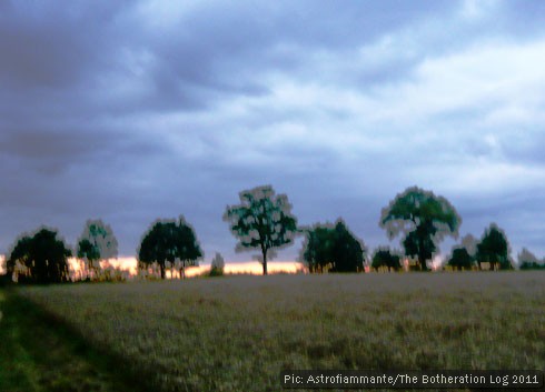 Hedge line at sunset - light