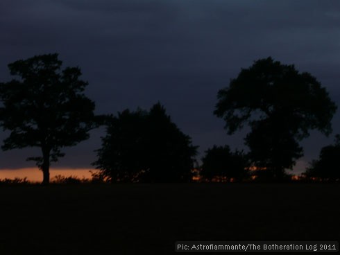 Trees on the skyline at sunset - dark