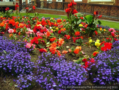 Town-centre flower bed planted out with summer bedding