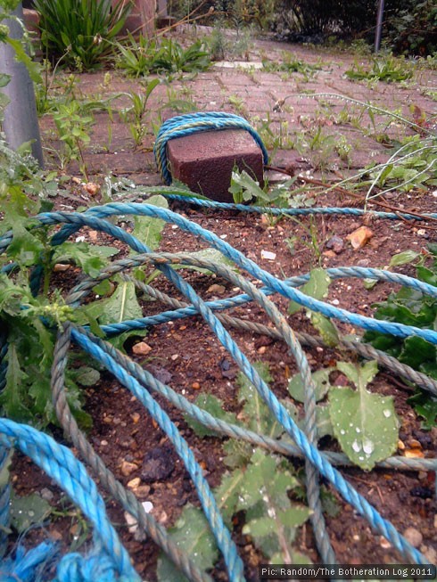 A half-brick tied to a length of blue nylon rope and left on wasteground.