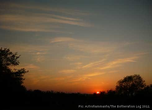 Sunset over a hedgerow