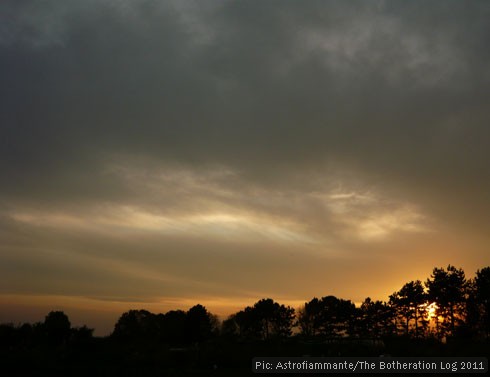 Trees sillhouetted against late-evening sky