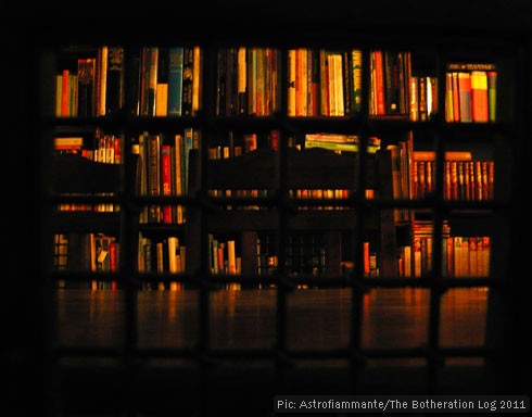 Books viewed through a metal mesh