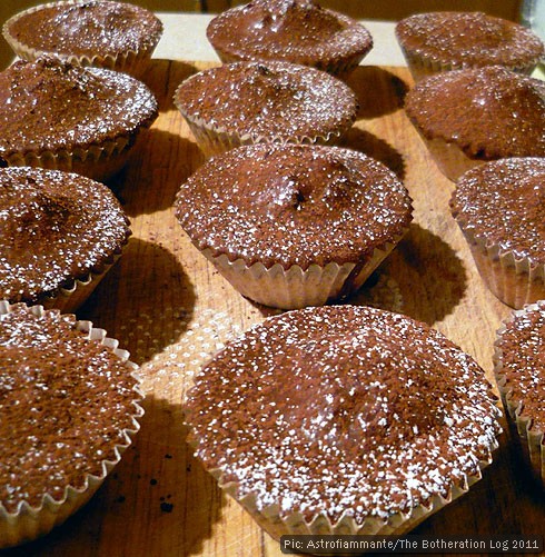 Cupcakes with chocolate frosting