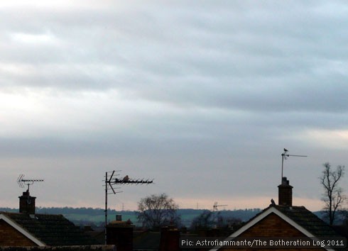 Birds gathering on TV aerials as the afternoon draws to a close