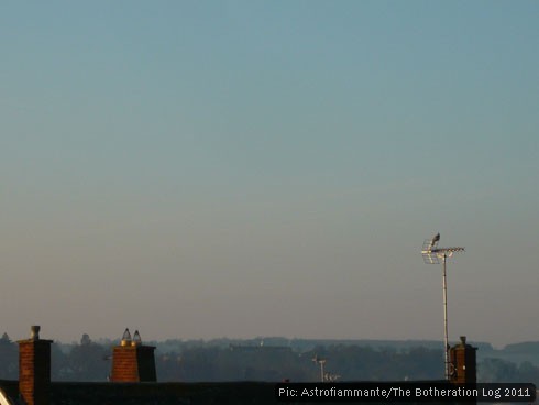 Bird on a TV aerial against a morning sky