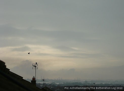 Birds circling and perched on a a TV aerial against a snowy landscape