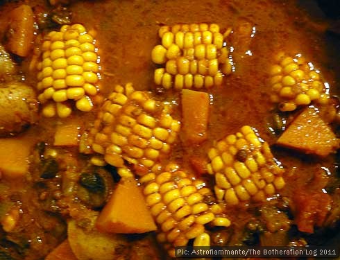 Chunks of corn on the cob simmering in curry sauce